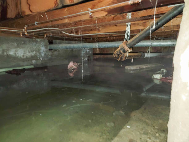 Best Flooded house restoration  in Aspinwall, PA