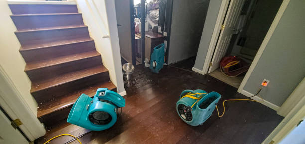 Best Ceiling water damage repair  in Aspinwall, PA