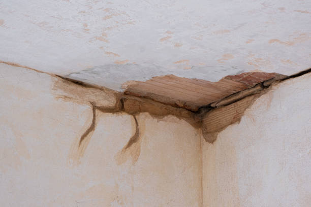 Best Water damage restoration near me  in Aspinwall, PA