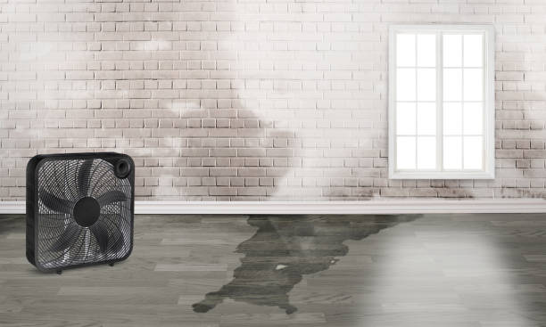Best Emergency water damage restoration  in Aspinwall, PA