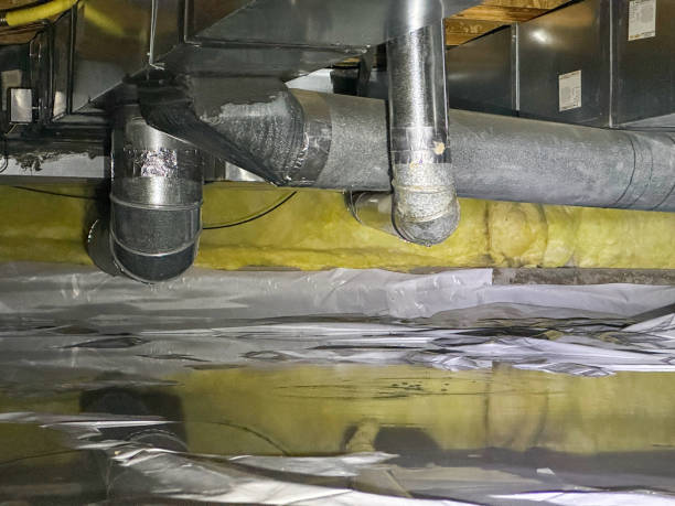 Best Professional water damage repair  in Aspinwall, PA