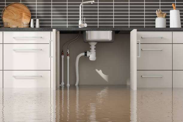 Best Carpet water damage restoration  in Aspinwall, PA