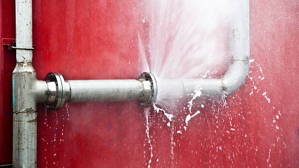  Aspinwall, PA Water damage restoration Pros